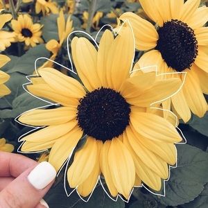 Meet your Posher, Emma